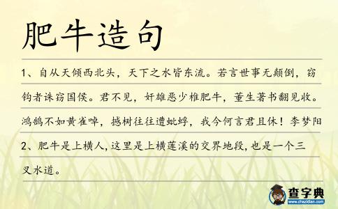 肥牛造句
