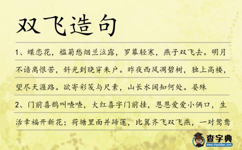 雙飛造句