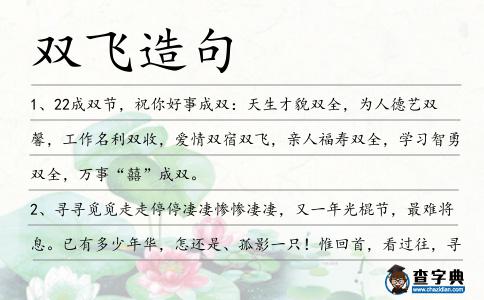 雙飛造句