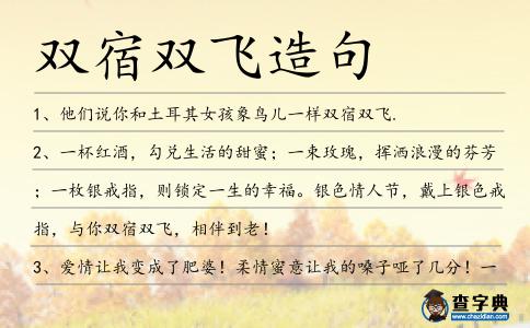 雙宿雙飛造句