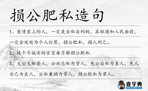 損公肥私造句