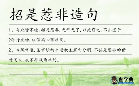 招是惹非造句