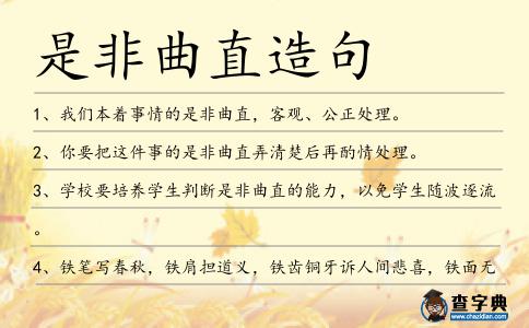 是非曲直造句