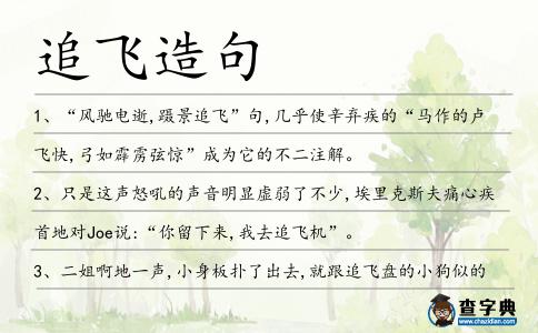 追飛造句
