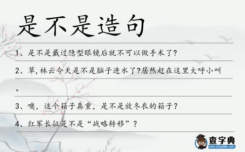 是不是造句