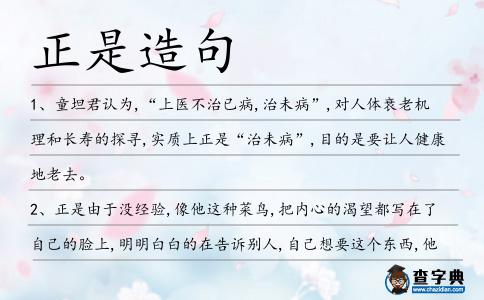 正是造句