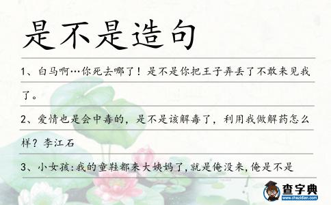是不是造句