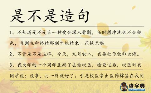 是不是造句