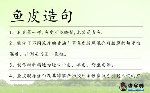 魚(yú)皮造句