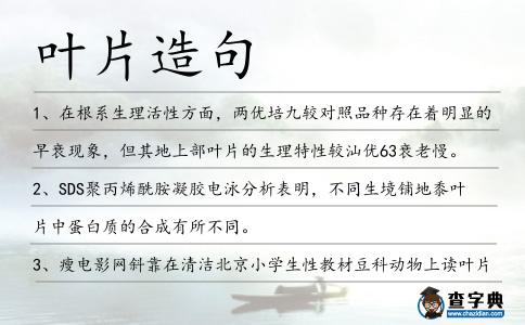 葉片造句