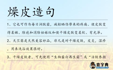 燥皮造句