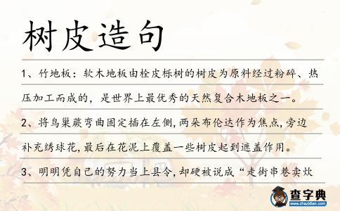 樹皮造句