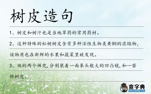 樹皮造句