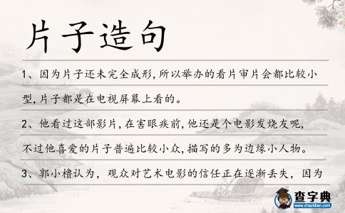 片子造句