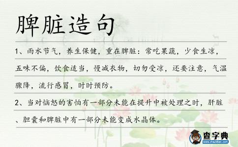 脾臟造句