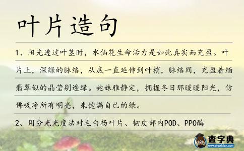 葉片造句