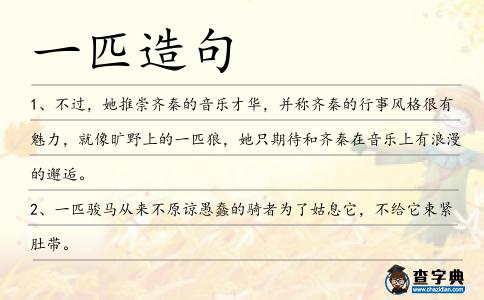 一匹造句
