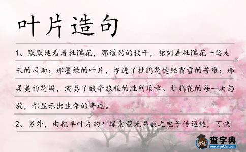 葉片造句