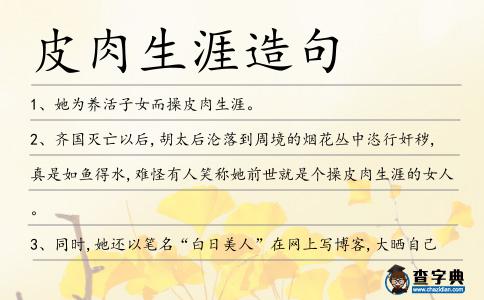 皮肉生涯造句