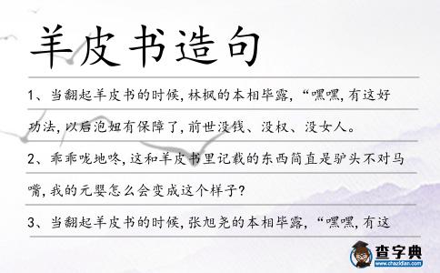 羊皮書造句