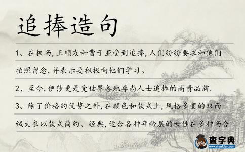 追捧造句