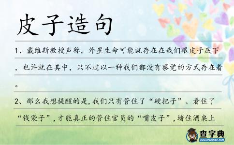 皮子造句