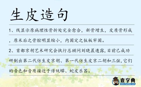 生皮造句
