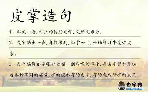 皮掌造句