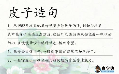 皮子造句