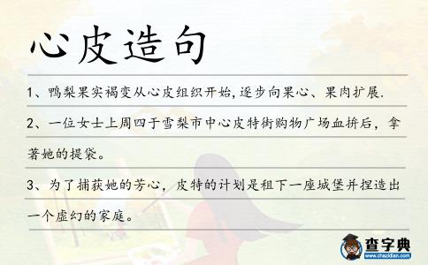 心皮造句