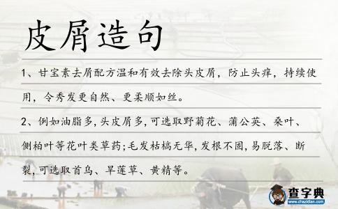 皮屑造句