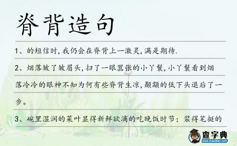 脊背造句