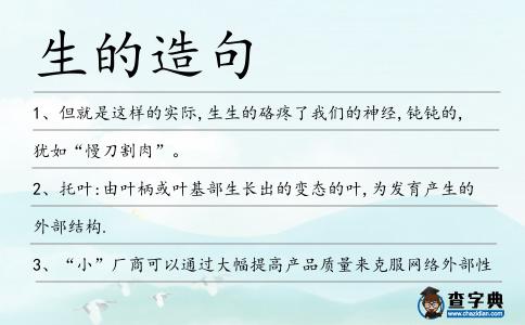 生的造句