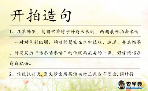 開拍造句