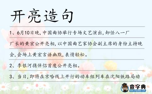 開亮造句