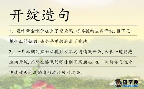 開綻造句