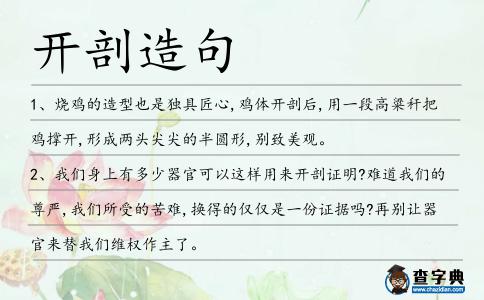 開(kāi)剖造句