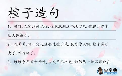 楦子造句