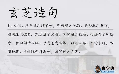 玄芝造句