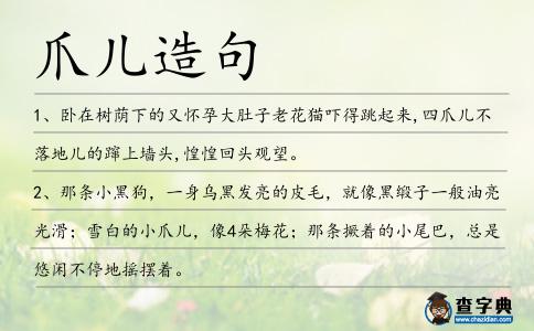 爪兒造句