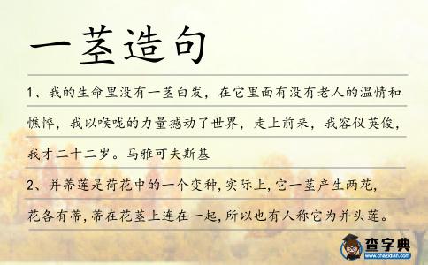 一莖造句