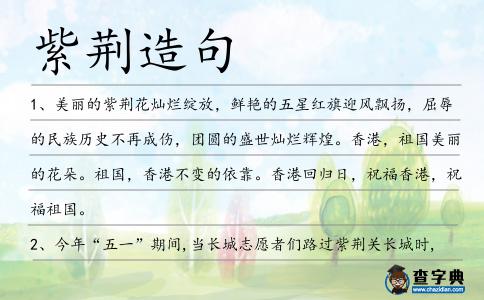 紫荊造句