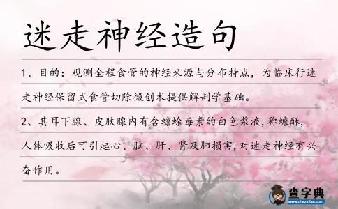 迷走神經造句