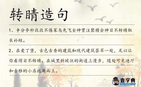 轉(zhuǎn)睛造句
