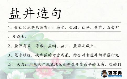 鹽井造句