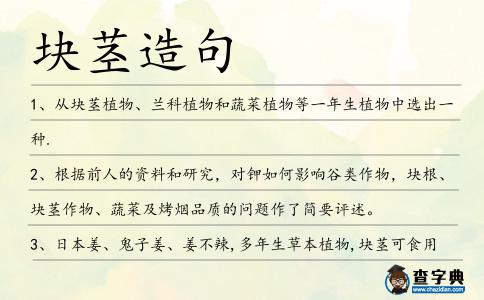 塊莖造句