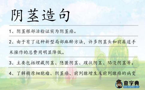 陰莖造句