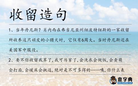 收留造句