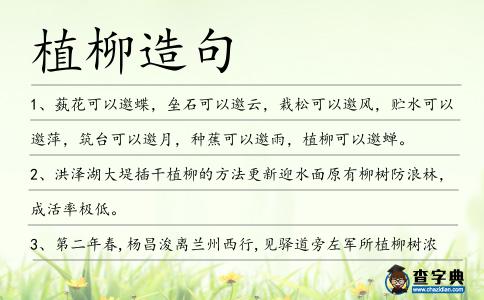植柳造句
