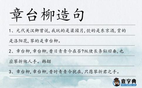 章臺柳造句